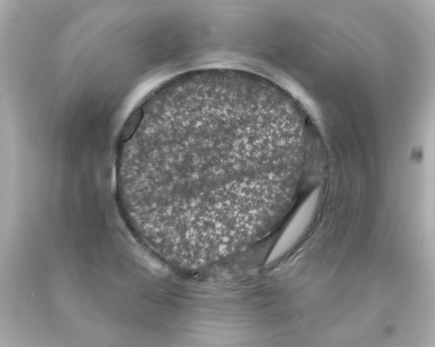 X0000093131368200710241314