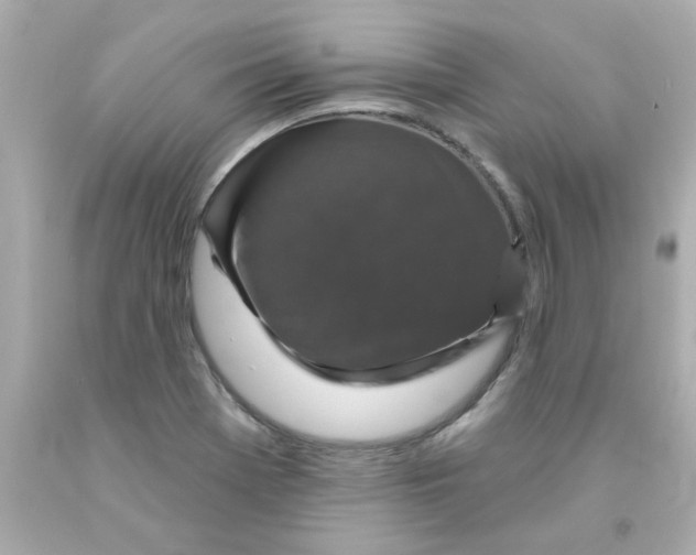 X0000093131369200710241314