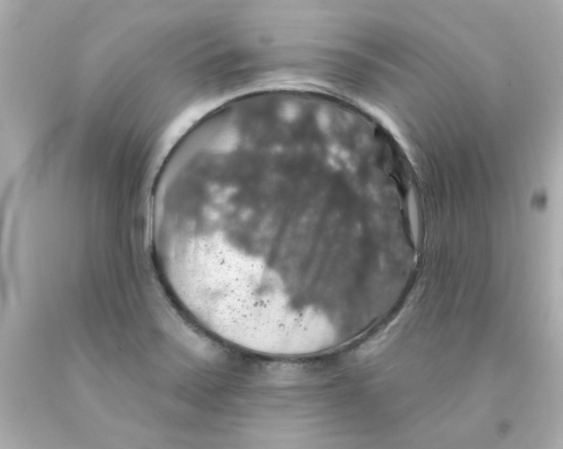 X0000093131371200710241314