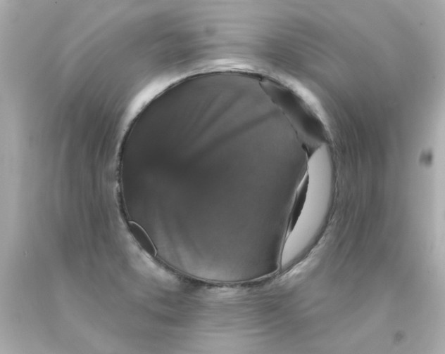 X0000093131373200710241314