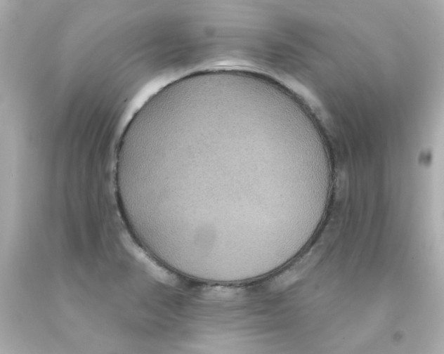 X0000093131374200710241314