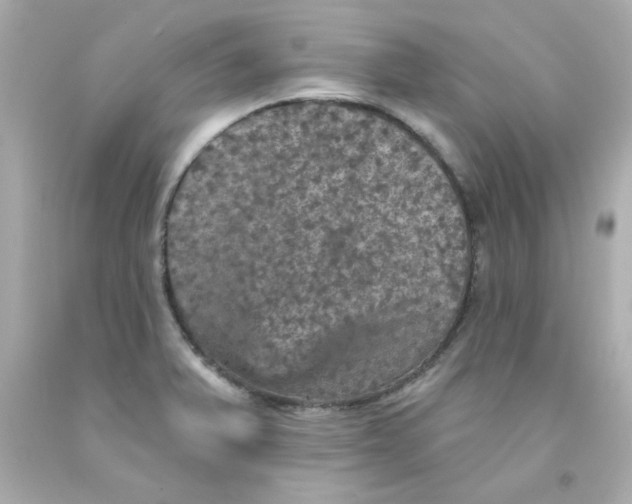 X0000093131375200710241314