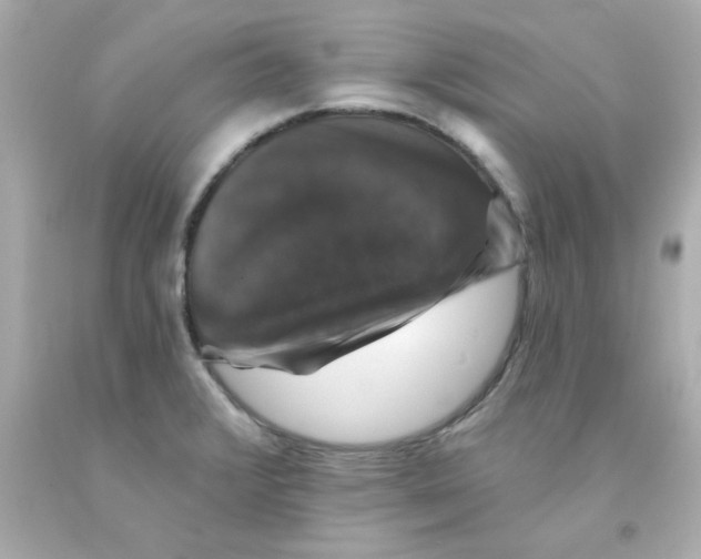 X0000093131376200710241314