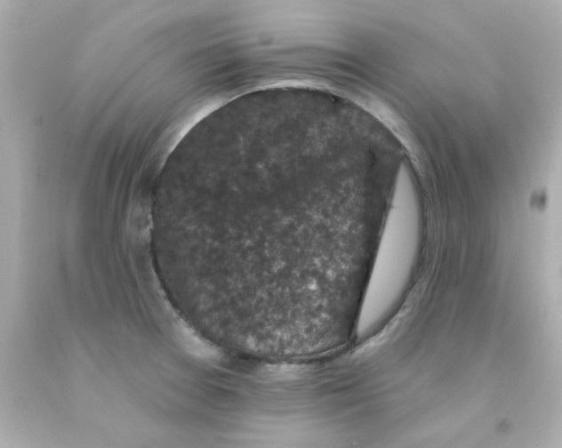 X0000093131377200710241314