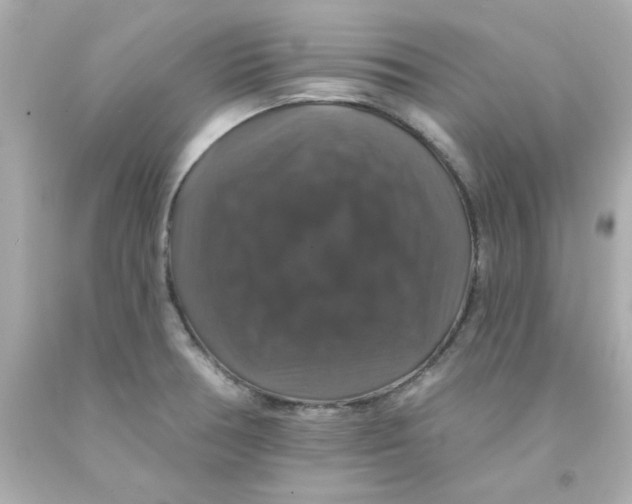 X0000093131378200710241314