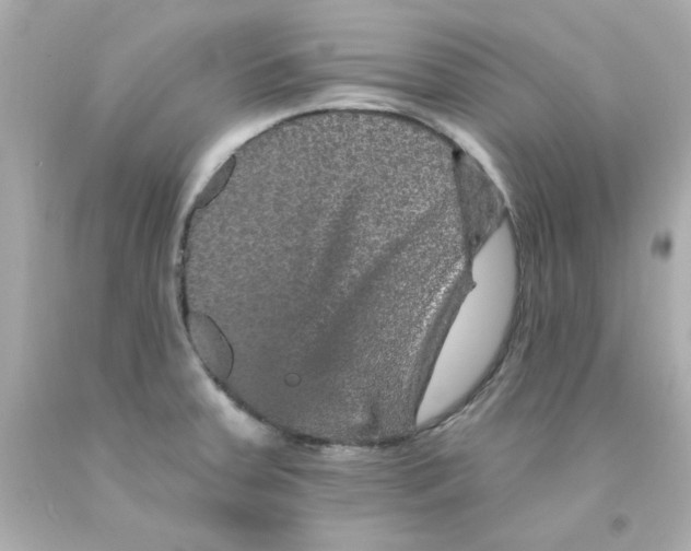 X0000093131379200710241314