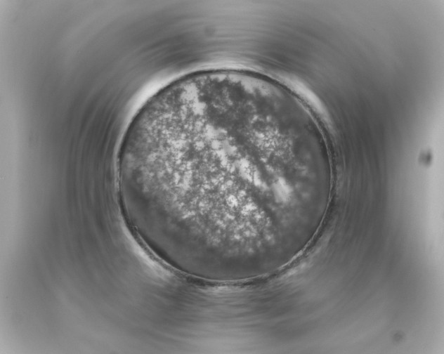 X0000093131380200710241314