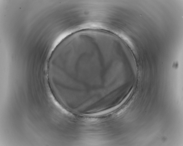X0000093131382200710241314