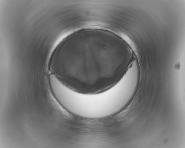 X0000093131384200710241314