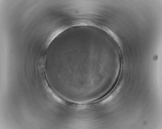 X0000093131385200710241314