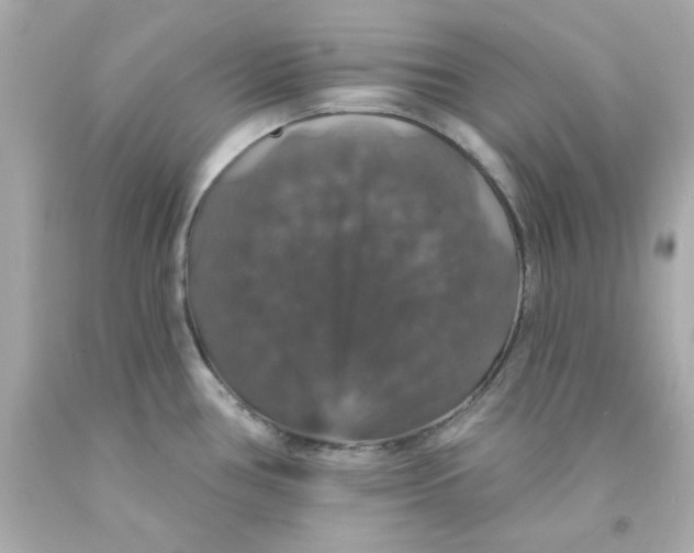 X0000093131386200710241314
