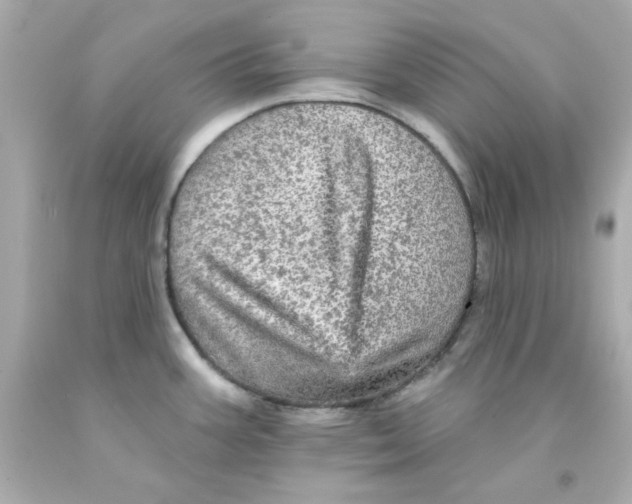 X0000093131387200710241314