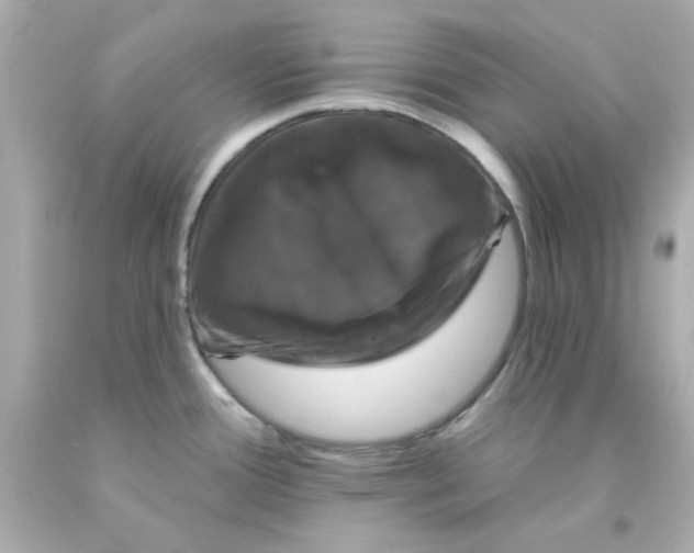 X0000093131388200710241314