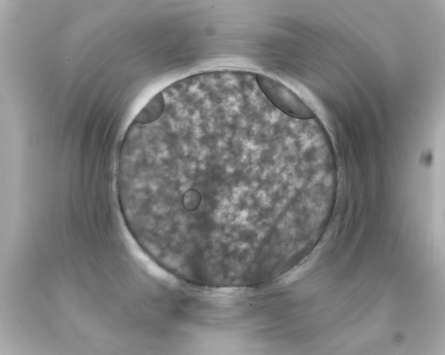 X0000093131390200710241314
