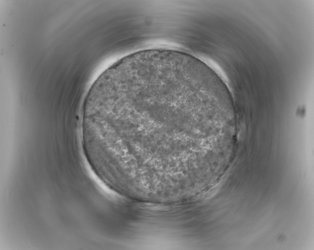 X0000093131391200710241314