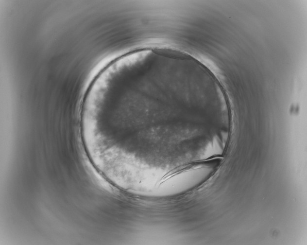 X0000093131392200710241314