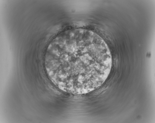 X0000093131393200710241313