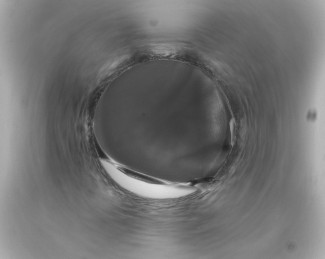 X0000093131394200710241313