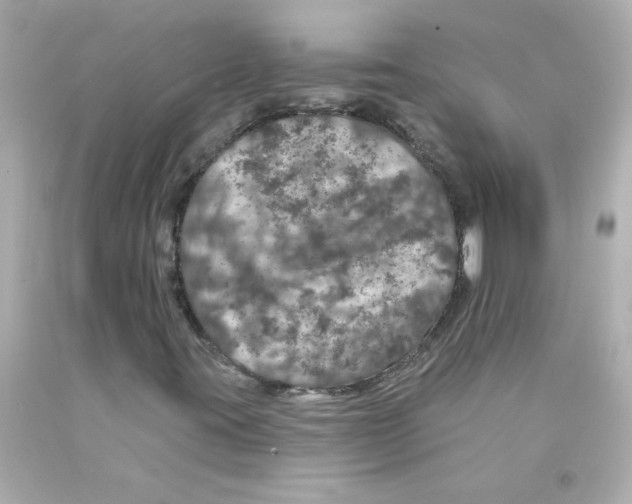 X0000093131395200710241313
