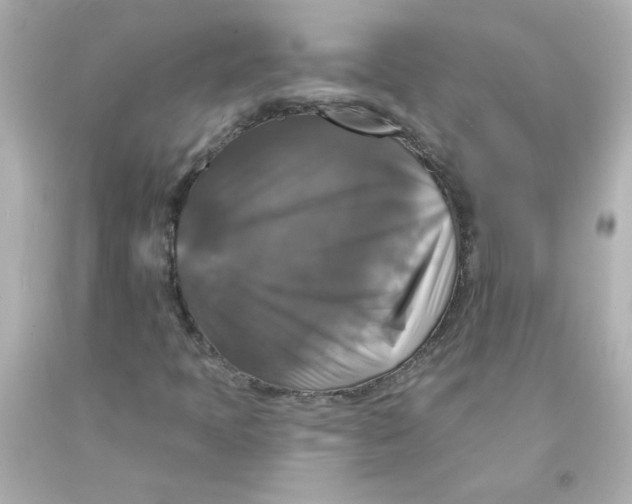 X0000093131397200710241313