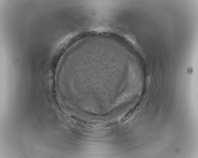 X0000093131398200710241313