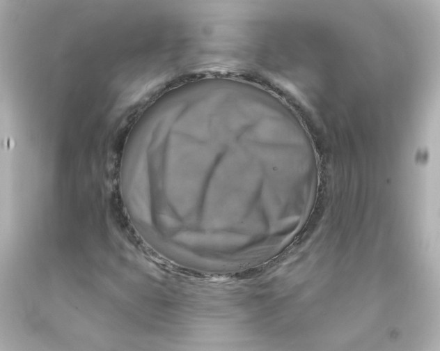X0000093131399200710241313
