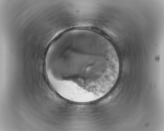 X0000093131401200710241313