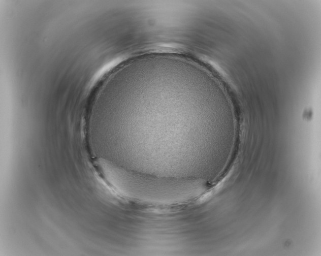 X0000093131402200710241314