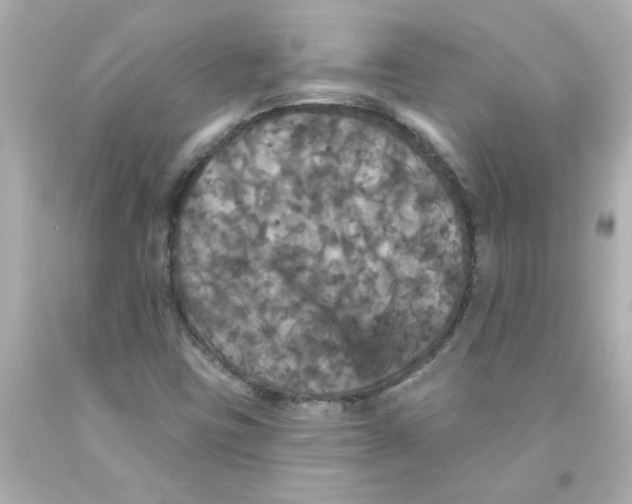 X0000093131403200710241314