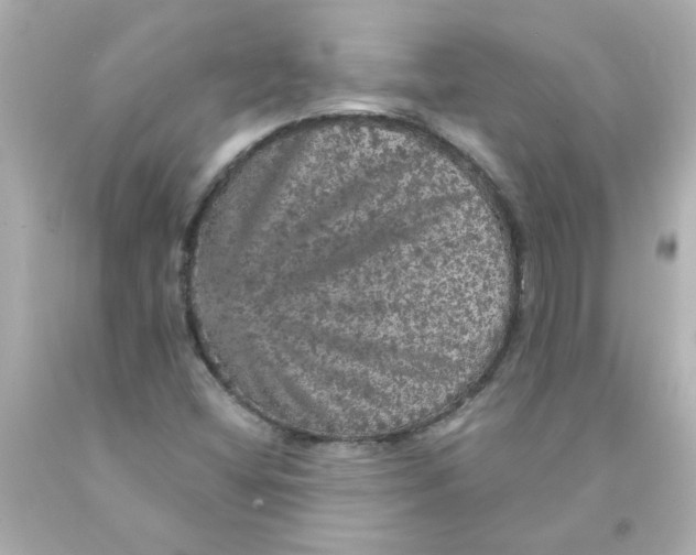 X0000093131404200710241314