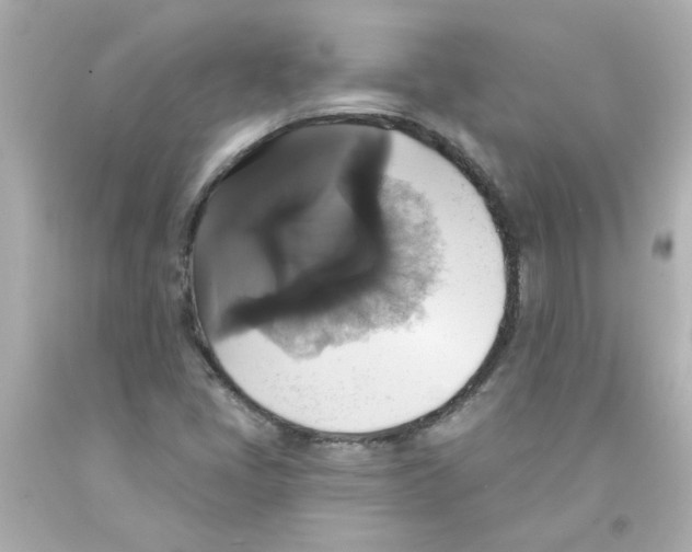 X0000093131405200710241314