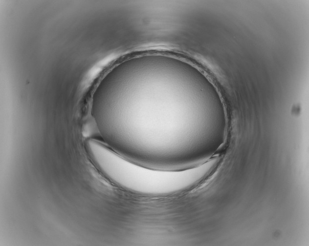 X0000093131406200710241314