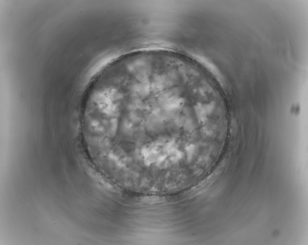 X0000093131407200710241314
