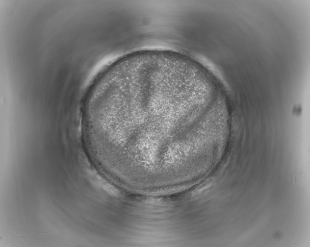 X0000093131408200710241314