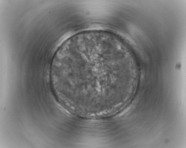 X0000093131409200710241314
