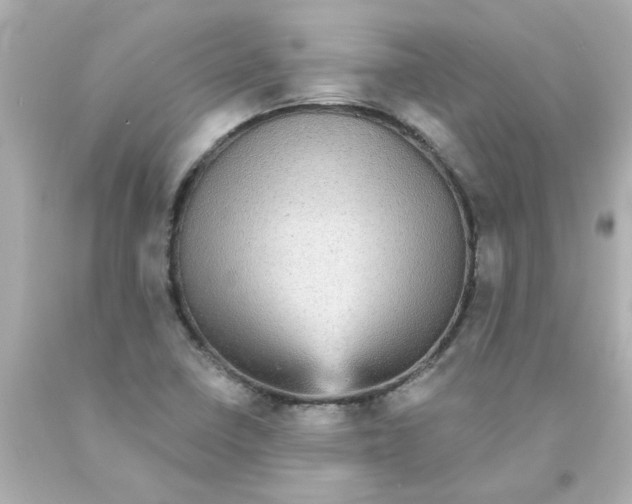 X0000093131410200710241314