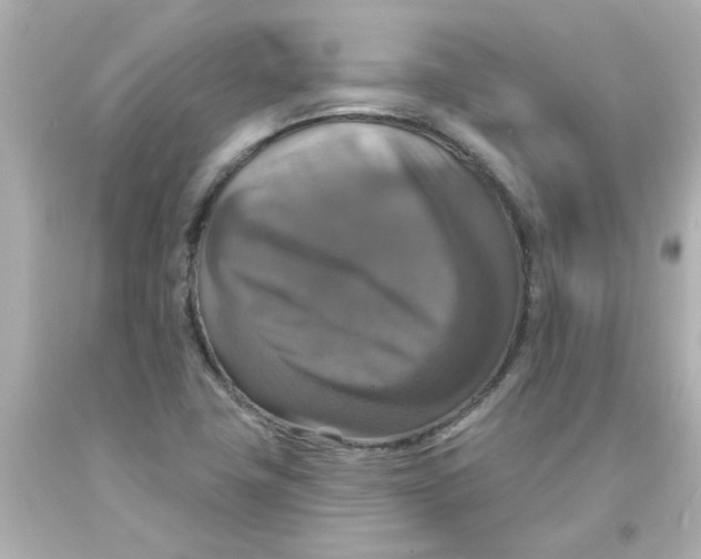 X0000093131411200710241314