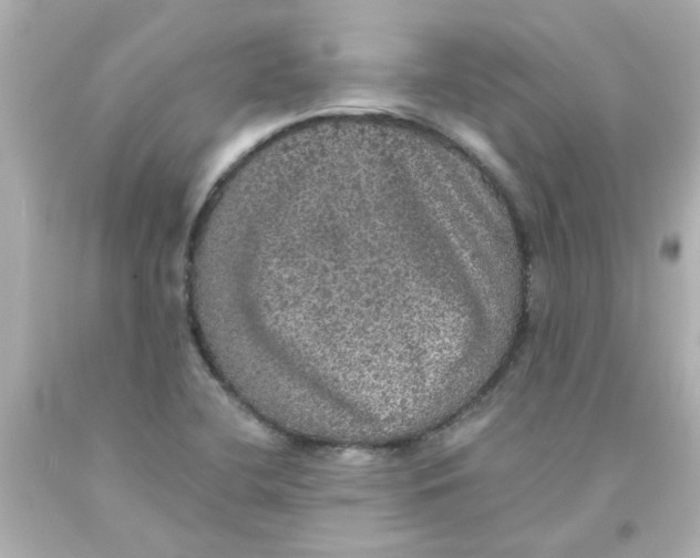 X0000093131412200710241314