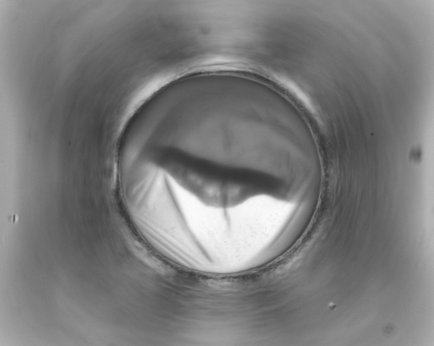 X0000093131413200710241314