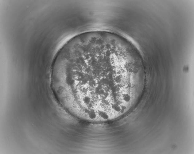 X0000093131415200710241314