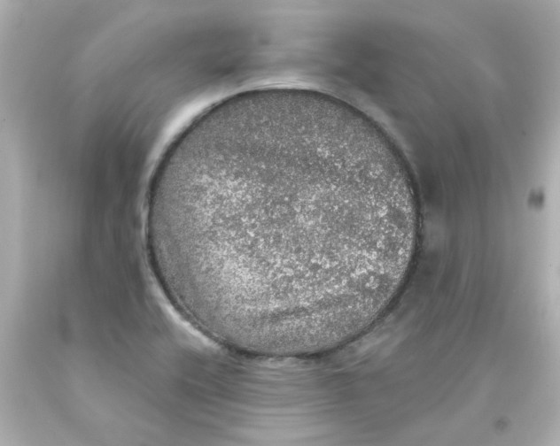 X0000093131416200710241314