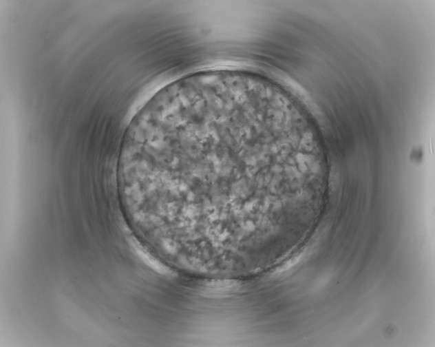 X0000093131417200710241314