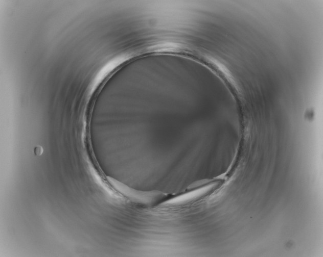 X0000093131418200710241314