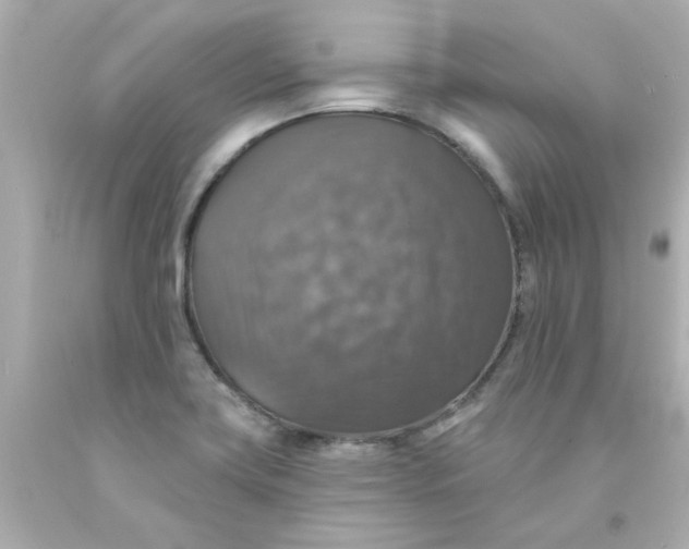 X0000093131419200710241314