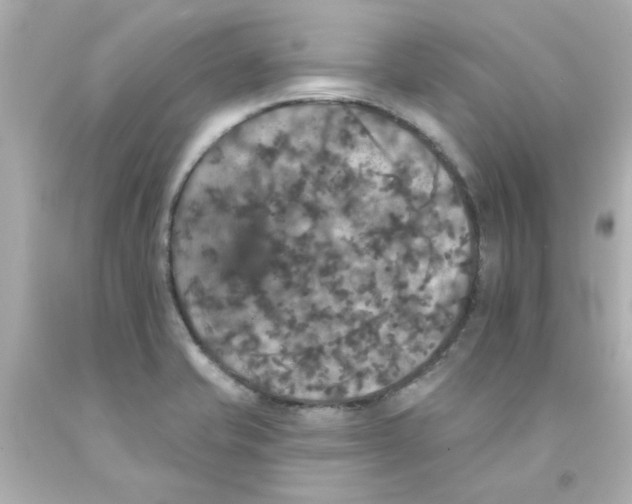 X0000093131421200710241314