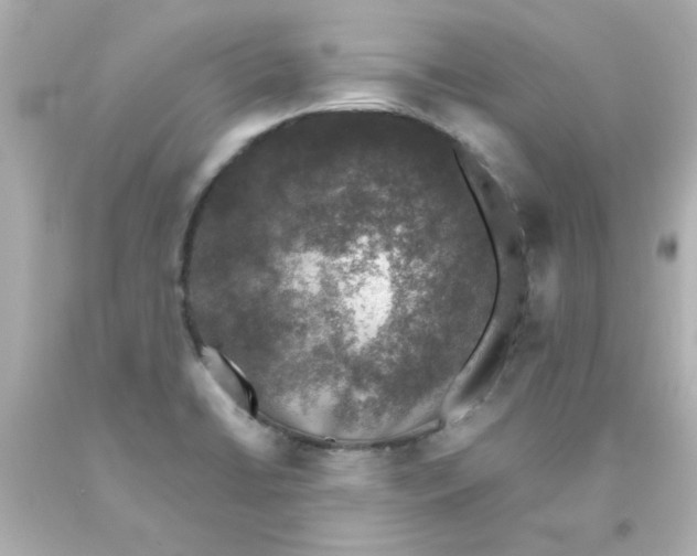 X0000093131422200710241314