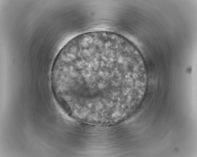 X0000093131423200710241314