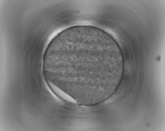X0000093131424200710241314