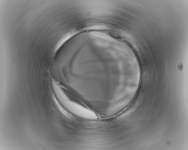 X0000093131425200710241314