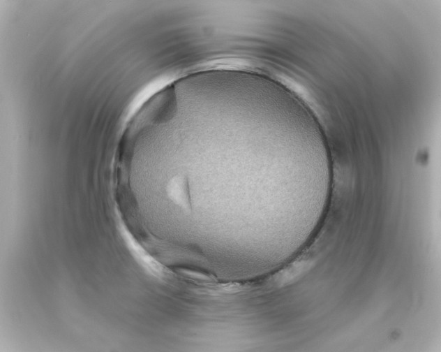 X0000093131426200710241314